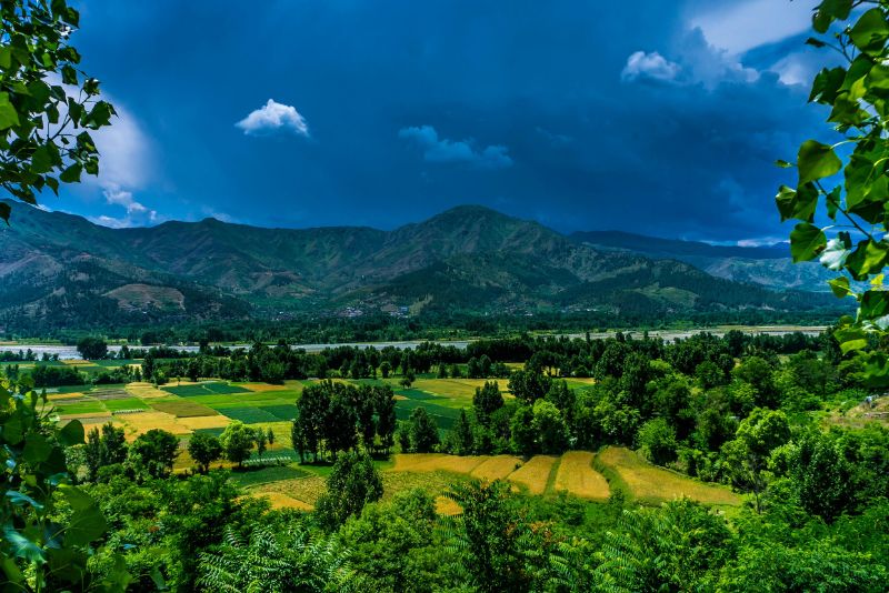 images/trending/Kashmir Tour Package 2.jpg